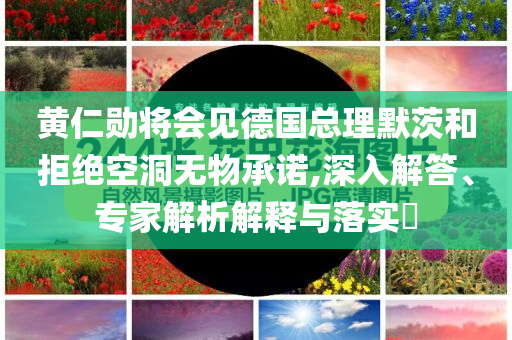 黃仁勛將會(huì)見德國總理默茨和拒絕空洞無物承諾,深入解答、專家解析解釋與落實(shí)?