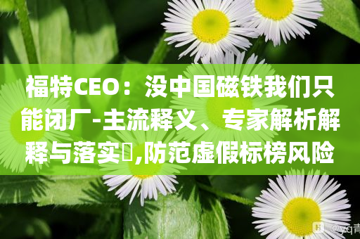 福特CEO：沒(méi)中國(guó)磁鐵我們只能閉廠-主流釋義、專家解析解釋與落實(shí)?,防范虛假標(biāo)榜風(fēng)險(xiǎn)