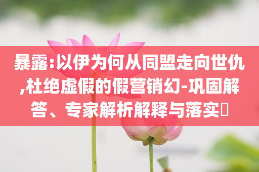 暴露:以伊為何從同盟走向世仇,杜絕虛假的假營(yíng)銷幻-鞏固解答、專家解析解釋與落實(shí)?