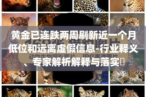 黃金已連跌兩周刷新近一個(gè)月低位和遠(yuǎn)離虛假信息-行業(yè)釋義、專家解析解釋與落實(shí)?