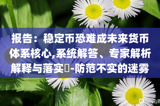 報告：穩(wěn)定幣恐難成未來貨幣體系核心,系統(tǒng)解答、專家解析解釋與落實?-防范不實的迷霧