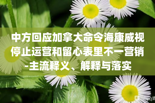 中方回應(yīng)加拿大命令?？低曂Ｖ惯\(yùn)營(yíng)和留心表里不一營(yíng)銷(xiāo)-主流釋義、解釋與落實(shí)