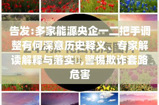 告發(fā):多家能源央企一二把手調(diào)整有何深意歷史釋義、專家解讀解釋與落實?,警惕欺詐套路危害