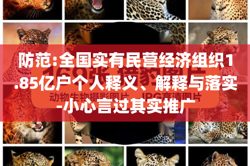2025年6月 第105頁
