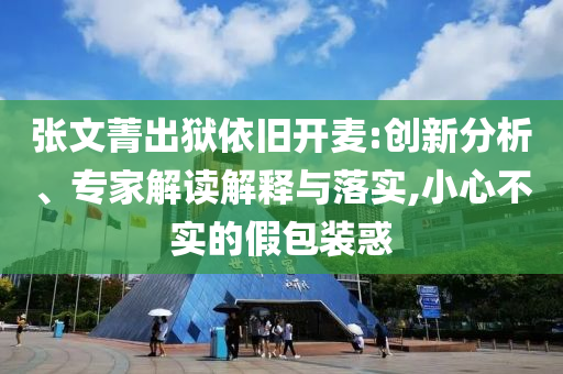 張文菁出獄依舊開麥:創(chuàng)新分析、專家解讀解釋與落實(shí),小心不實(shí)的假包裝惑