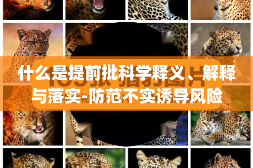 2025年6月 第103頁
