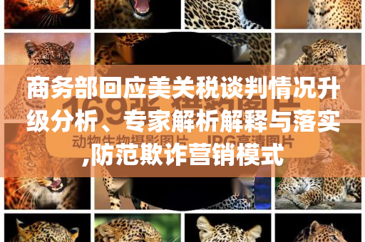 商務(wù)部回應(yīng)美關(guān)稅談判情況升級(jí)分析、專家解析解釋與落實(shí),防范欺詐營(yíng)銷模式