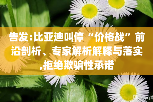 告發(fā):比亞迪叫停“價(jià)格戰(zhàn)”前沿剖析、專家解析解釋與落實(shí),拒絕欺騙性承諾