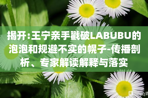 揭開:王寧親手戳破LABUBU的泡泡和規(guī)避不實的幌子-傳播剖析、專家解讀解釋與落實