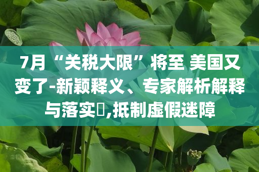 7月“關(guān)稅大限”將至 美國又變了-新穎釋義、專家解析解釋與落實?,抵制虛假迷障