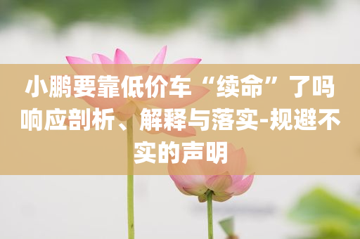 小鵬要靠低價車“續(xù)命”了嗎響應(yīng)剖析、解釋與落實-規(guī)避不實的聲明