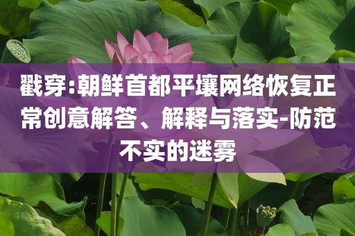 戳穿:朝鮮首都平壤網(wǎng)絡(luò)恢復(fù)正常創(chuàng)意解答、解釋與落實-防范不實的迷霧