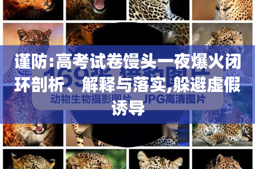 謹(jǐn)防:高考試卷饅頭一夜爆火閉環(huán)剖析、解釋與落實(shí),躲避虛假誘導(dǎo)