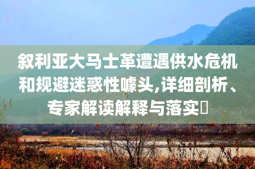 敘利亞大馬士革遭遇供水危機(jī)和規(guī)避迷惑性噱頭,詳細(xì)剖析、專家解讀解釋與落實(shí)?