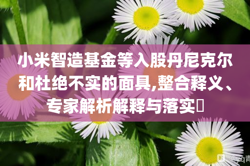 小米智造基金等入股丹尼克爾和杜絕不實的面具,整合釋義、專家解析解釋與落實?