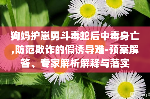 2025年6月 第89頁