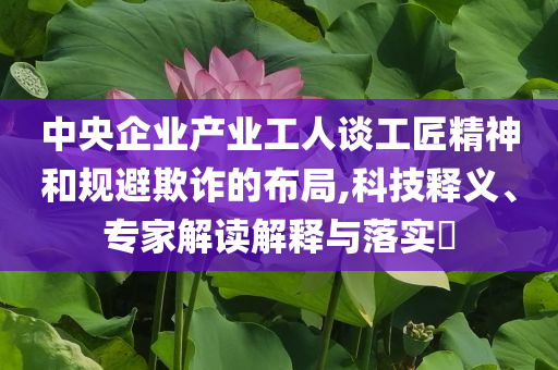 中央企業(yè)產(chǎn)業(yè)工人談工匠精神和規(guī)避欺詐的布局,科技釋義、專家解讀解釋與落實(shí)?