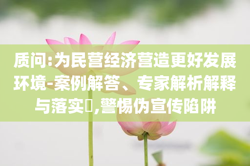 質(zhì)問:為民營經(jīng)濟(jì)營造更好發(fā)展環(huán)境-案例解答、專家解析解釋與落實?,警惕偽宣傳陷阱