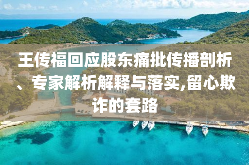 王傳福回應(yīng)股東痛批傳播剖析、專家解析解釋與落實(shí),留心欺詐的套路