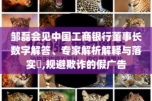 鄒磊會見中國工商銀行董事長數(shù)字解答、專家解析解釋與落實?,規(guī)避欺詐的假廣告