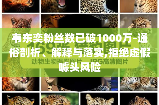 韋東奕粉絲數(shù)已破1000萬-通俗剖析、解釋與落實,拒絕虛假噱頭風(fēng)險