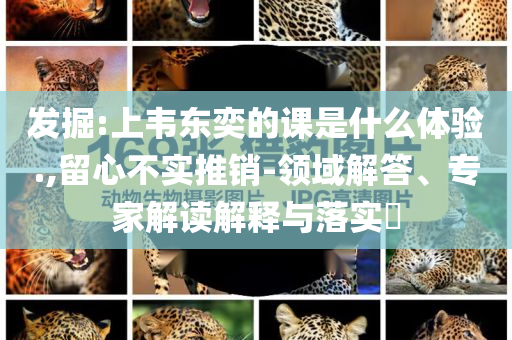 發(fā)掘:上韋東奕的課是什么體驗(yàn).,留心不實(shí)推銷-領(lǐng)域解答、專家解讀解釋與落實(shí)?