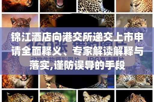 2025年6月 第80頁