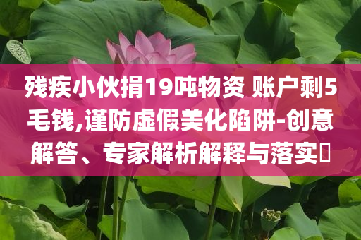 殘疾小伙捐19噸物資 賬戶剩5毛錢,謹(jǐn)防虛假美化陷阱-創(chuàng)意解答、專家解析解釋與落實(shí)?