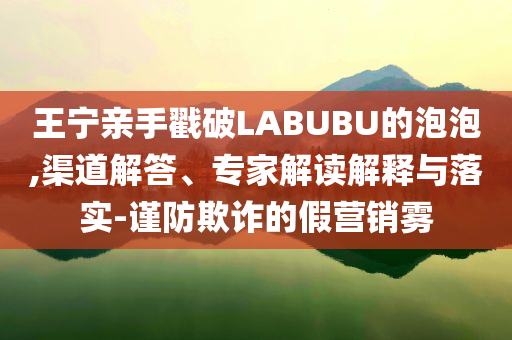 王寧親手戳破LABUBU的泡泡,渠道解答、專家解讀解釋與落實-謹防欺詐的假營銷霧