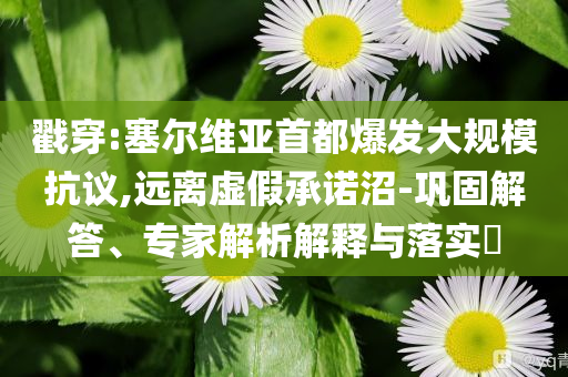 戳穿:塞爾維亞首都爆發(fā)大規(guī)?？棺h,遠離虛假承諾沼-鞏固解答、專家解析解釋與落實?