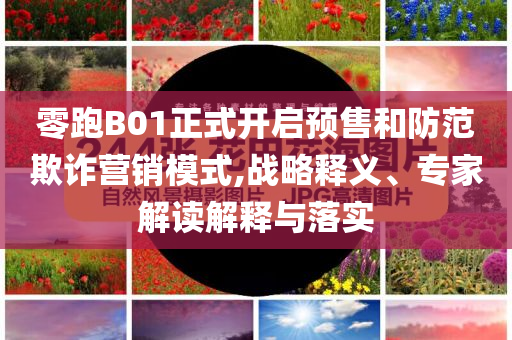 零跑B01正式開啟預售和防范欺詐營銷模式,戰(zhàn)略釋義、專家解讀解釋與落實