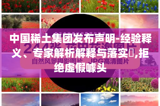 中國(guó)稀土集團(tuán)發(fā)布聲明-經(jīng)驗(yàn)釋義、專家解析解釋與落實(shí)?,拒絕虛假噱頭
