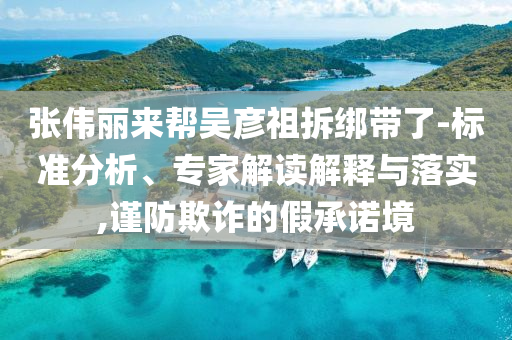 張偉麗來幫吳彥祖拆綁帶了-標(biāo)準(zhǔn)分析、專家解讀解釋與落實(shí),謹(jǐn)防欺詐的假承諾境