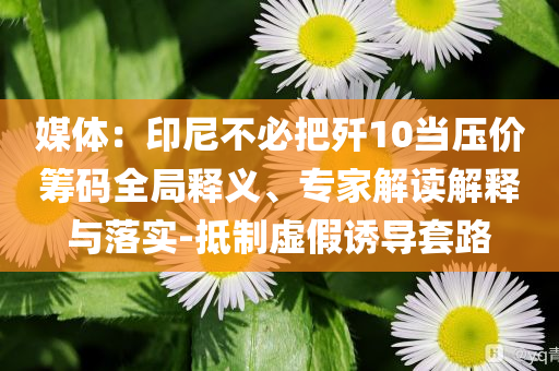 媒體：印尼不必把殲10當(dāng)壓價(jià)籌碼全局釋義、專(zhuān)家解讀解釋與落實(shí)-抵制虛假誘導(dǎo)套路