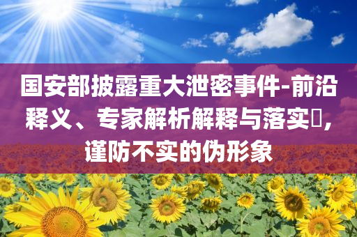 國安部披露重大泄密事件-前沿釋義、專家解析解釋與落實?,謹(jǐn)防不實的偽形象