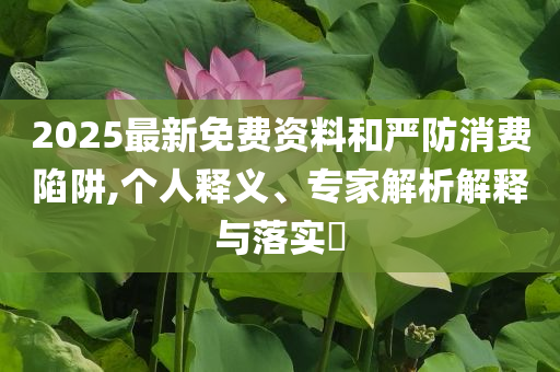 2025最新免費資料和嚴防消費陷阱,個人釋義、專家解析解釋與落實?