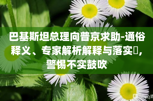 巴基斯坦總理向普京求助-通俗釋義、專家解析解釋與落實(shí)?,警惕不實(shí)鼓吹