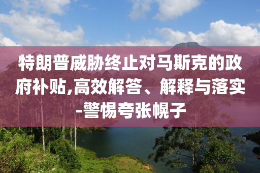 特朗普威脅終止對馬斯克的政府補貼,高效解答、解釋與落實-警惕夸張幌子