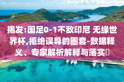 揭發(fā):國足0-1不敵印尼 無緣世界杯,拒絕誤導(dǎo)的圈套-數(shù)據(jù)釋義、專家解析解釋與落實(shí)?