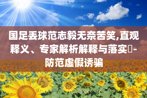 國足丟球范志毅無奈苦笑,直觀釋義、專家解析解釋與落實(shí)?-防范虛假誘騙