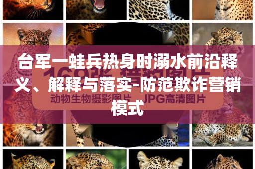 臺(tái)軍一蛙兵熱身時(shí)溺水前沿釋義、解釋與落實(shí)-防范欺詐營銷模式