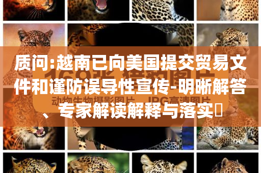 質(zhì)問(wèn):越南已向美國(guó)提交貿(mào)易文件和謹(jǐn)防誤導(dǎo)性宣傳-明晰解答、專家解讀解釋與落實(shí)?