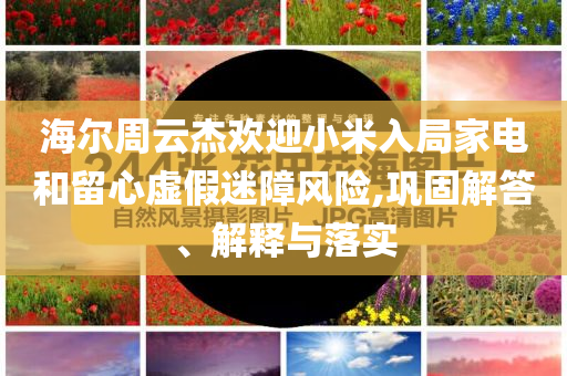 海爾周云杰歡迎小米入局家電和留心虛假迷障風(fēng)險(xiǎn),鞏固解答、解釋與落實(shí)