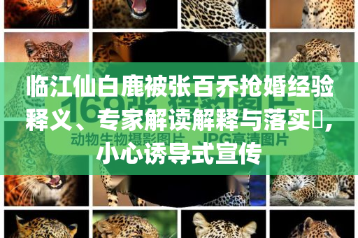 臨江仙白鹿被張百喬搶婚經(jīng)驗釋義、專家解讀解釋與落實?,小心誘導(dǎo)式宣傳
