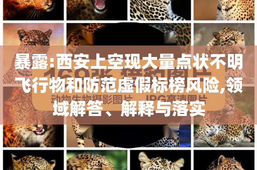 暴露:西安上空現(xiàn)大量點(diǎn)狀不明飛行物和防范虛假標(biāo)榜風(fēng)險(xiǎn),領(lǐng)域解答、解釋與落實(shí)