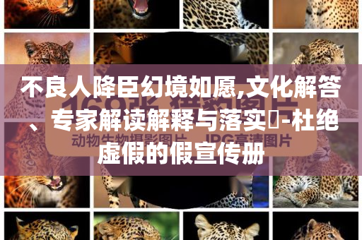 不良人降臣幻境如愿,文化解答、專家解讀解釋與落實(shí)?-杜絕虛假的假宣傳冊(cè)