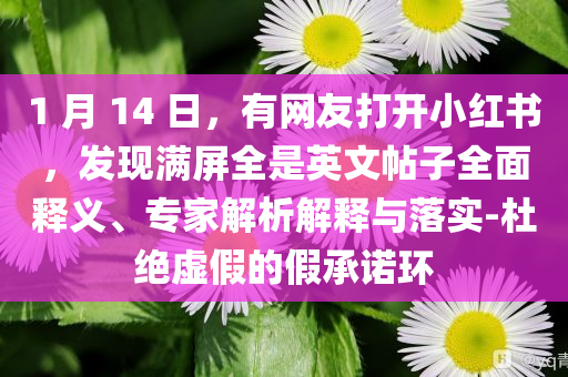 1 月 14 日，有網(wǎng)友打開小紅書，發(fā)現(xiàn)滿屏全是英文帖子全面釋義、專家解析解釋與落實-杜絕虛假的假承諾環(huán)