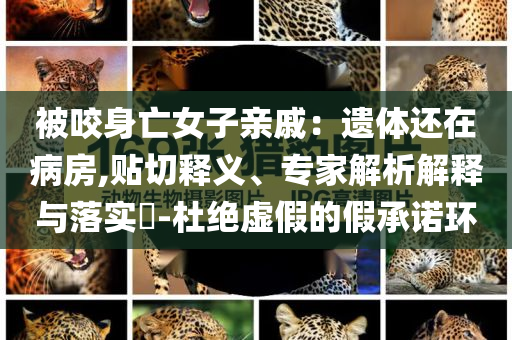 被咬身亡女子親戚：遺體還在病房,貼切釋義、專家解析解釋與落實?-杜絕虛假的假承諾環(huán)