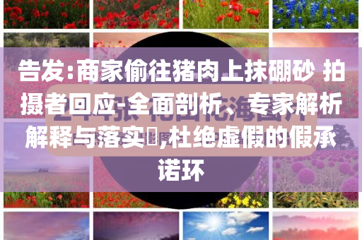 告發(fā):商家偷往豬肉上抹硼砂 拍攝者回應(yīng)-全面剖析、專家解析解釋與落實(shí)?,杜絕虛假的假承諾環(huán)