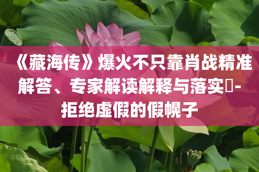 《藏海傳》爆火不只靠肖戰(zhàn)精準(zhǔn)解答、專家解讀解釋與落實?-拒絕虛假的假幌子